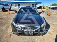 2010 Honda Accord фото
