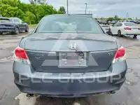 2010 Honda Accord photo