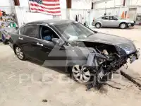 2010 Honda Accord фото