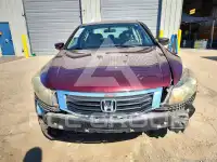 2010 Honda Accord фото