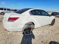 2010 Honda Accord фото