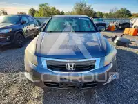 2010 Honda Accord фото