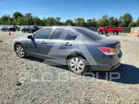 2010 Honda Accord photo