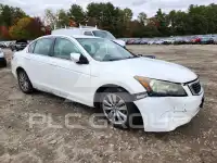 2010 Honda Accord фото
