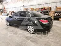 2010 Honda Accord фото