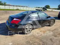 2010 Honda Accord фото