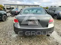 2010 Honda Accord photo