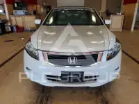 2010 Honda Accord фото
