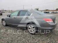 2010 Honda Accord photo