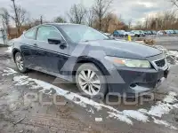2010 Honda Accord photo