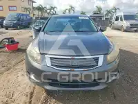 2010 Honda Accord фото