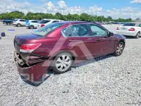 2010 Honda Accord фото