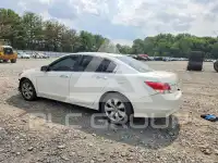 2010 Honda Accord photo