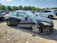 2010 Honda Accord фото