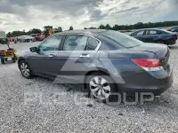 2010 Honda Accord photo