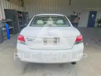 2010 Honda Accord фото