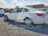 2010 Honda Accord photo