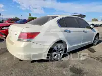 2010 Honda Accord фото