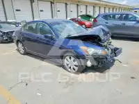 2010 Honda Accord photo