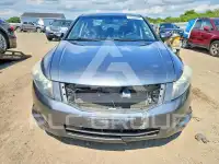 2010 Honda Accord фото