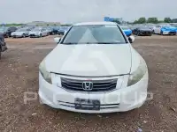 2010 Honda Accord photo
