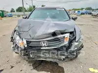 2010 Honda Accord photo