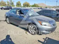 2010 Honda Accord фото