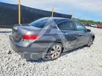 2010 Honda Accord фото