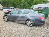 2010 Honda Accord фото