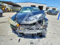 2010 Honda Accord photo