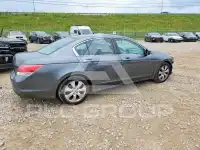 2010 Honda Accord фото