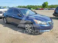 2010 Honda Accord photo
