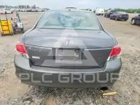 2010 Honda Accord фото