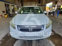 2010 Honda Accord фото