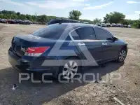 2010 Honda Accord photo