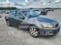 2010 Honda Accord photo