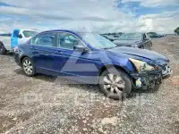 2010 Honda Accord photo