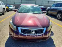 2010 Honda Accord фото