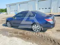 2010 Honda Accord фото