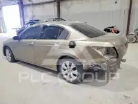 2010 Honda Accord фото