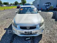 2010 Honda Accord фото