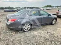2010 Honda Accord фото