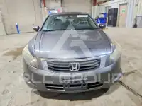 2010 Honda Accord photo