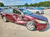 2010 Honda Accord photo
