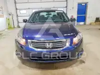 2010 Honda Accord фото