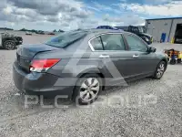 2010 Honda Accord photo