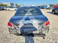 2010 Honda Accord photo