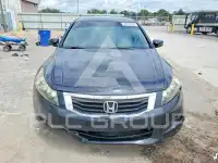 2010 Honda Accord фото
