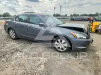 2010 Honda Accord фото