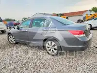 2010 Honda Accord photo